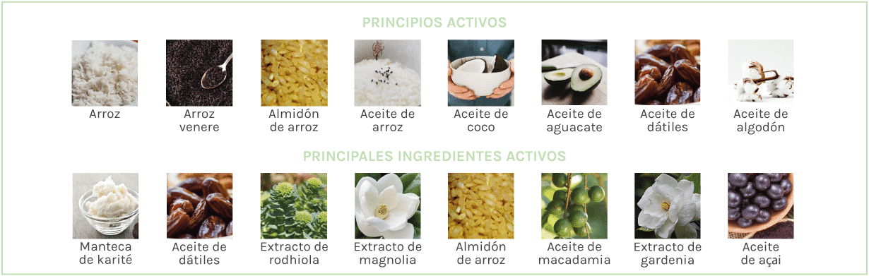 principios activos de nuestros cosméticos naturales y ecológicos