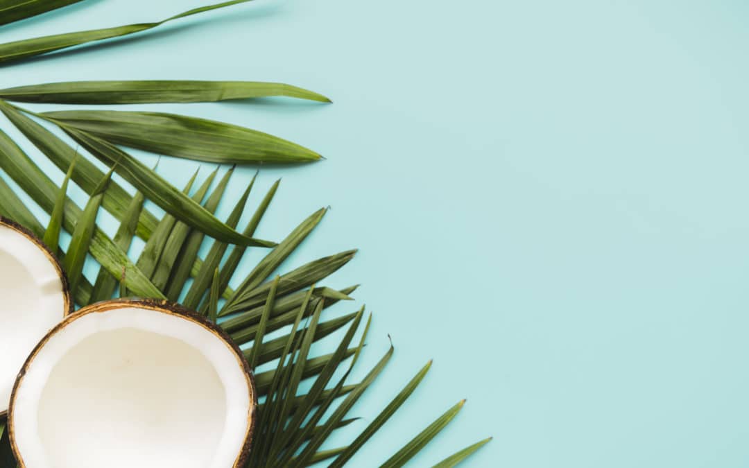 Nuestras Marcas de Cosmética Natural y Ecológica