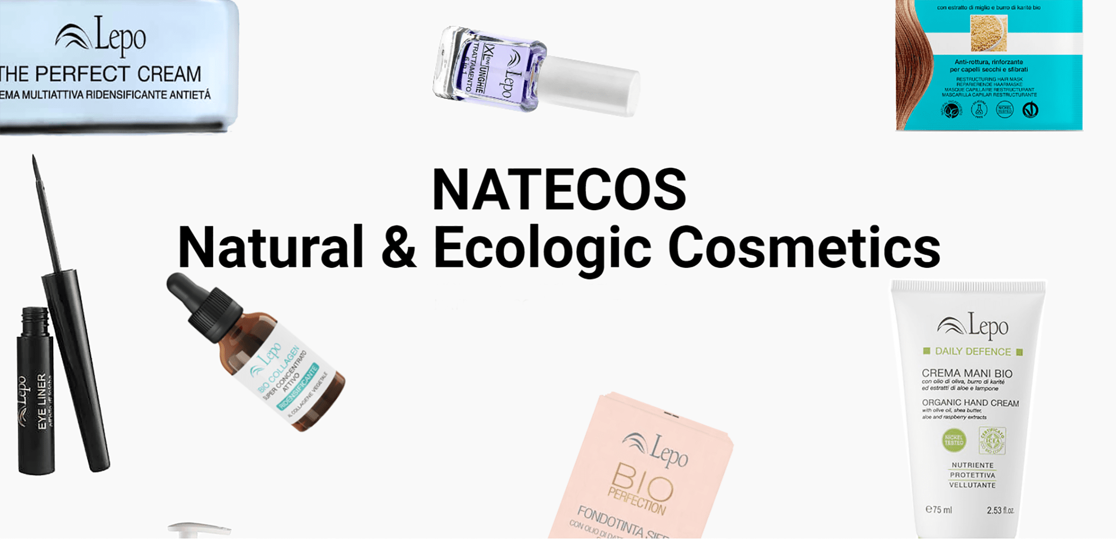Inicio estático natecos 2