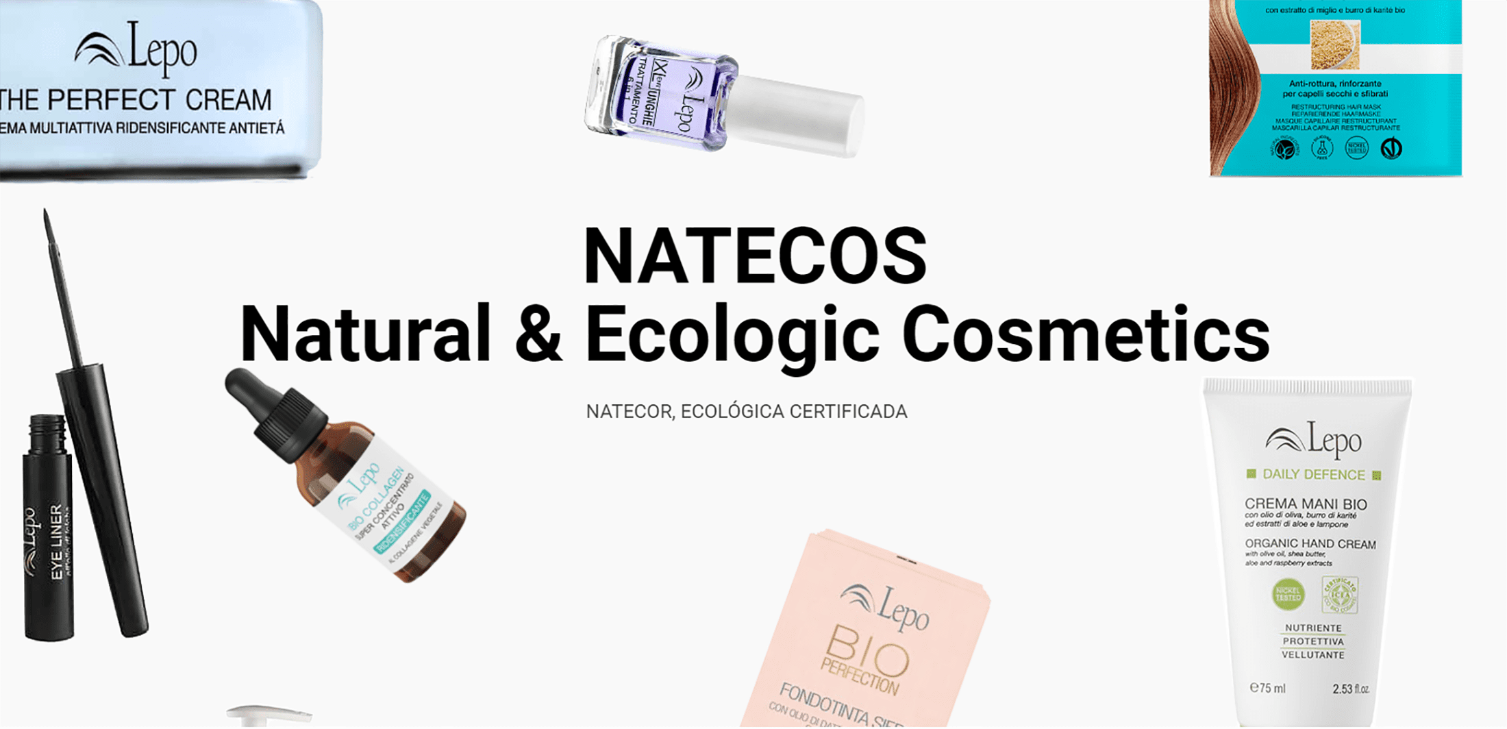 Inicio estático natecos