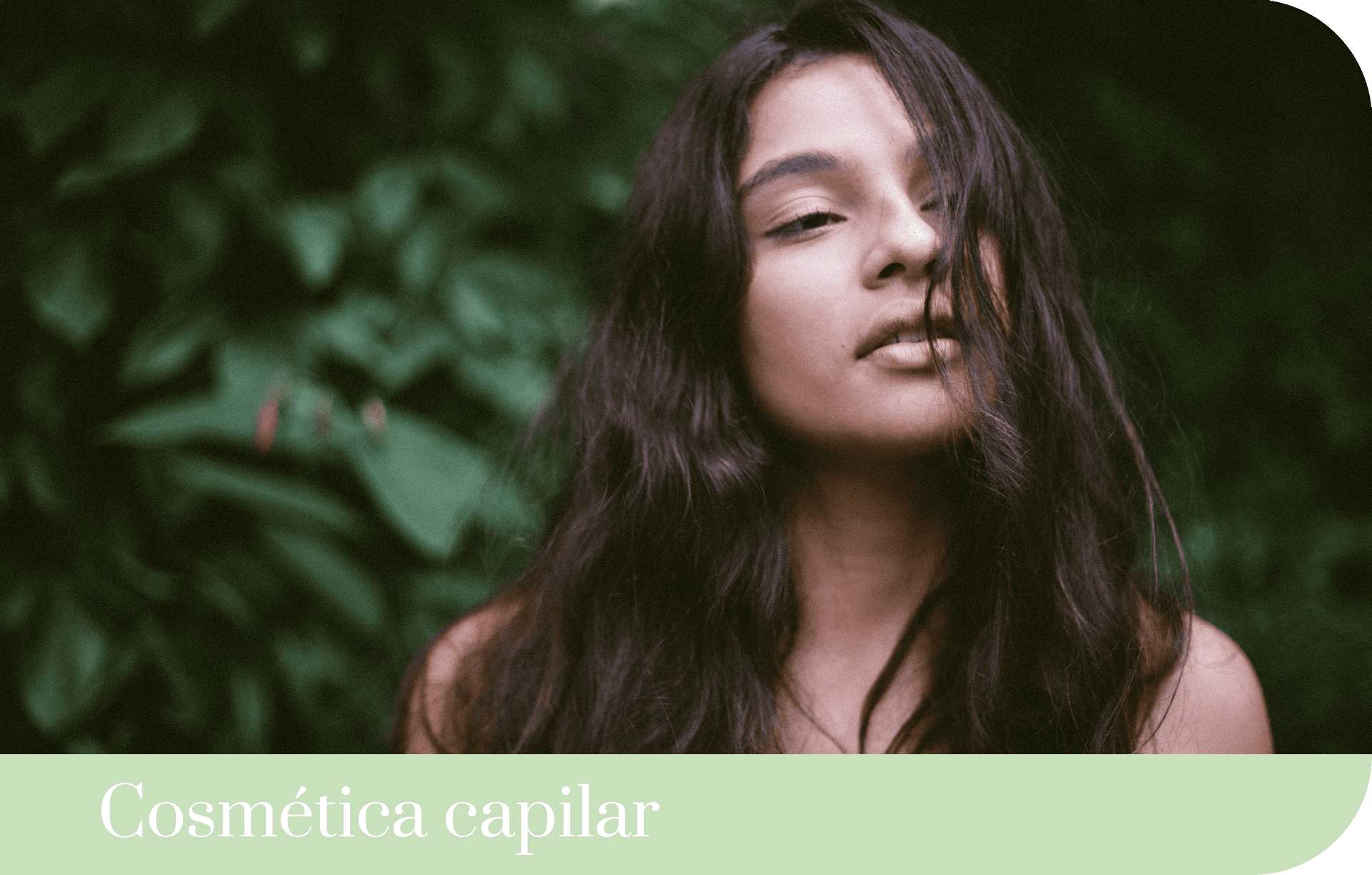 cabello icono d