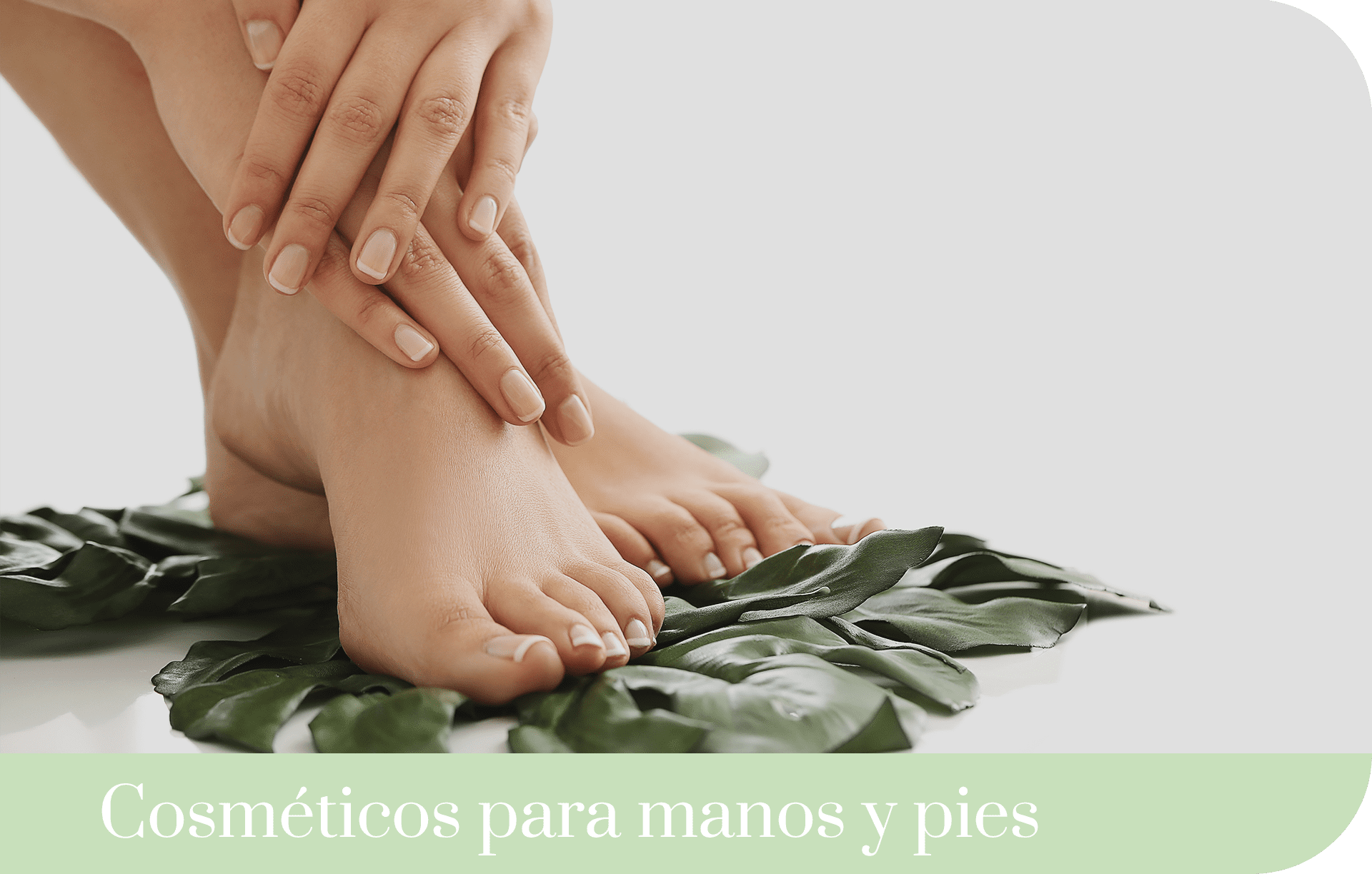 icono manos y pies